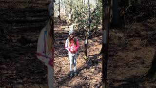Appalachian Trail - Winter section NC February 2024.
