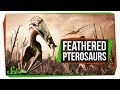 Ankylosaurs and Pterosaur Discoveries