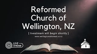 Salt and Light
