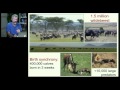 Animal Behavior and Group Dynamics