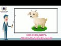 Identifying Initial Sounds in Words