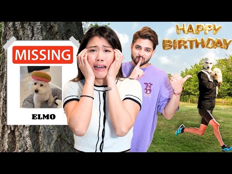 I Lost Our Dog On My Girlfriend's Birthday *EMOTIONAL*