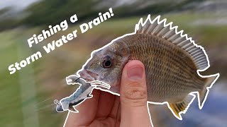 Fishing an Urban Drain!