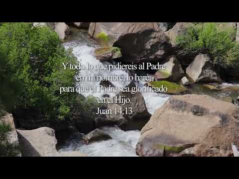 Toma unos minutos para agradecer por este dia 🙏 #musicaparaorar