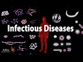 Infectious Diseases and Immune Response
