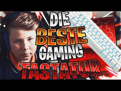 SEHR GUTE GAMING TASTATUR!!! | RK ROYAL KLUDGE RK61