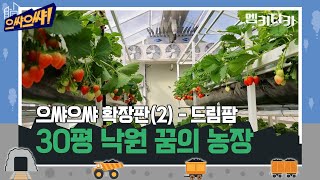 30평 낙원 꿈의 농장 '드림팜' | 으쌰으쌰 확장판(2) ㅣ MBC경남 220625 방송 다시보기
