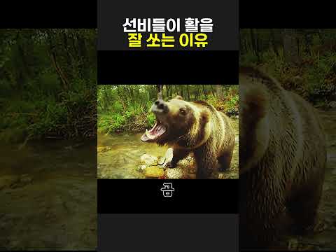 선비들이 활을 잘 쏘는 이유