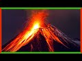 Plate Tectonics and Life on Earth