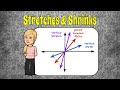 Recognizing and Graphing Stretches and Shrinks of Linear Functions