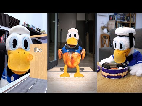 SI TE RIES PIERDES #3🤣🦆 - SAN PITO PATO (Recopilación #3)