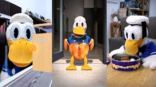 SI TE RIES PIERDES #3🤣🦆 - SAN PITO PATO (Recopilación #3)