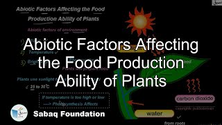 Abiotic Factors Affecting the Food Production Ability of Plants