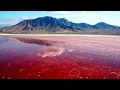 Understanding Red Tides