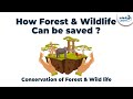 Wildlife Conservation and Protection