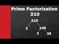 Prime Factorization Concepts