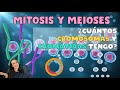 Cuestionario sobre Mitosis y Meiosis