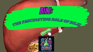 Weird Science Wonders: Bile - Your Body's Secret Sauce!