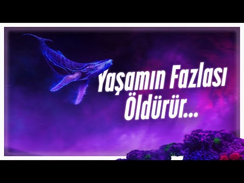 Fosfor Döngüsü ve Yaşamın Hikayesi