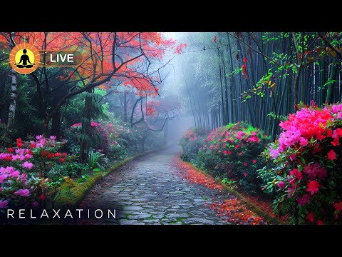 &#128308; Relaxing Music 24/7, Stress Relief Music, Sleep Music, Meditation Music, Zen Music, Bird Sounds