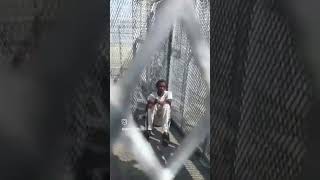 Niggas will risk their life and freedom, just to be housed in a puppy kennel like dogs. Bluffcity