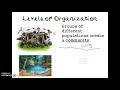 Levels of Organization in Biology