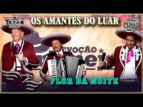 Flor da Noite - OS AMANTES DO LUAR