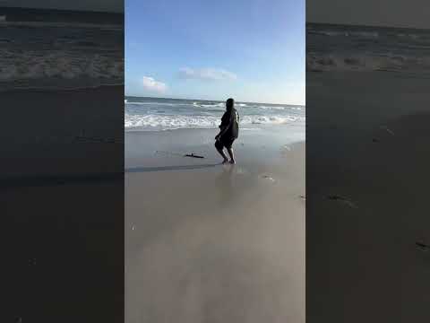 Something big takes rod into the ocean