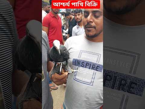 হাটে আশ্চর্য পাখি বিক্রি #shorts #shortvideo #shortsviral #birds #pakhi #animals