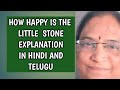 Understanding the Poem 'How Happy is the Little Stone'