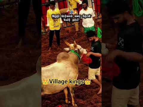 அண்ணன் தம்பி பாசம் 100%❤️❤️❤️ இது தான் எங்கள் பாசம்❤️❤️