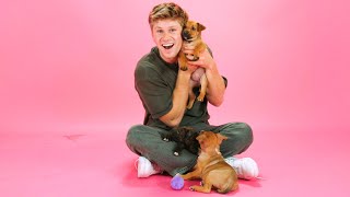 Robert Irwin: The Puppy Interview