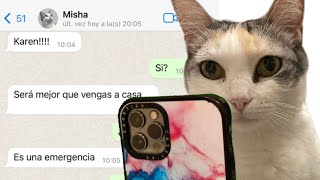 Esto pasaría si los gatos pudieran escribir 🫢 #gatos #michis #whatsapp #mascotas