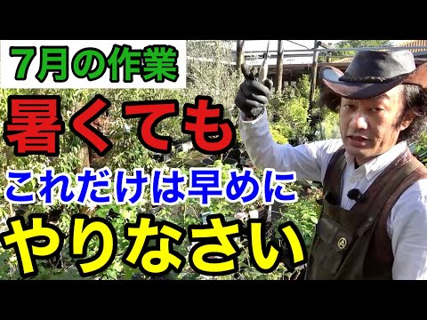 【植物管理丸わかり】ズボラさんでもできる７月の園芸作業教えます　　　　【カーメン君】【園芸】【ガーデニング】【初心者】