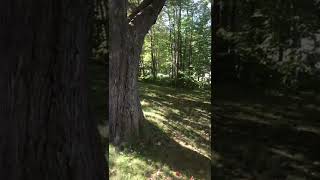 Airbnb Property