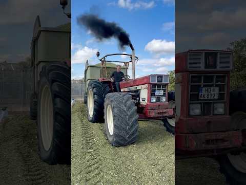TRACTOR GOES ONTO THE SILAGE WITH A TRAILER