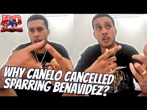 David Benavidez REVEALS Canelo sparring was cancelled & why!  #davidbenavidez #canelo