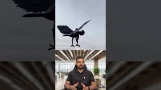 Look at this AI crow drone