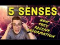 Neuroscience: Instincts and Learning