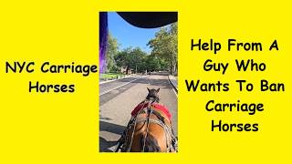 Carriage Driver Getting Help From A Guy Who Wants To Ban NYC Carriage Horses