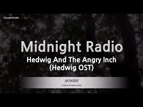 Hedwig And The Angry Inch-Midnight Radio (Hedwig OST) (Karaoke Version)