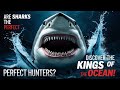 Shark Biology and Conservation