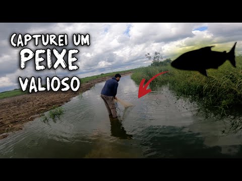 PESQUEI NO MEIO DA ESTRADA ALAGADA - EXPLORAÇÃO PARTE 02