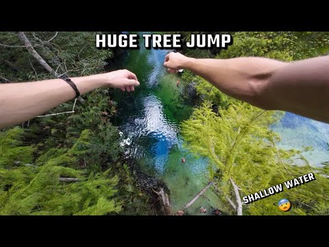 The Ultimate Florida Cliff Jumping Adventure