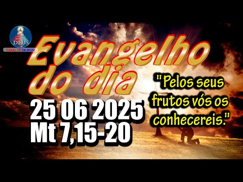 EVANGELHO DO DIA 25/06/2025 COM REFLEXÃO. Evangelho (Mt 7,15-20)