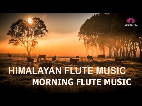 Himalayan Flute Music | Relaxing Music | Meditation Music | (बाँसुरी) Aparmita Ep.130