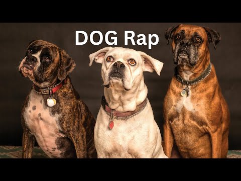 Dog Rapping "Yuno Miles" Official Video