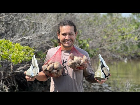 Almejas Y Caracoles Enormes En Ceviche