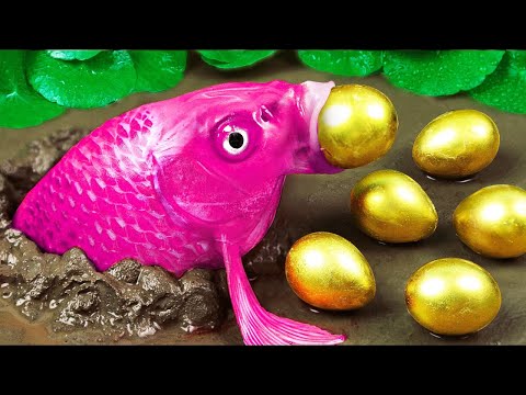 Satisfying Catch Mini Colorful Fish, Guppy, Betta Fish, Golden Snake / 스톱 모션 요리 Funny Video