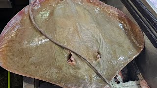 SH Fresh & Fish  is live